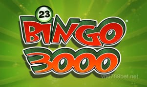 Bingo 3000